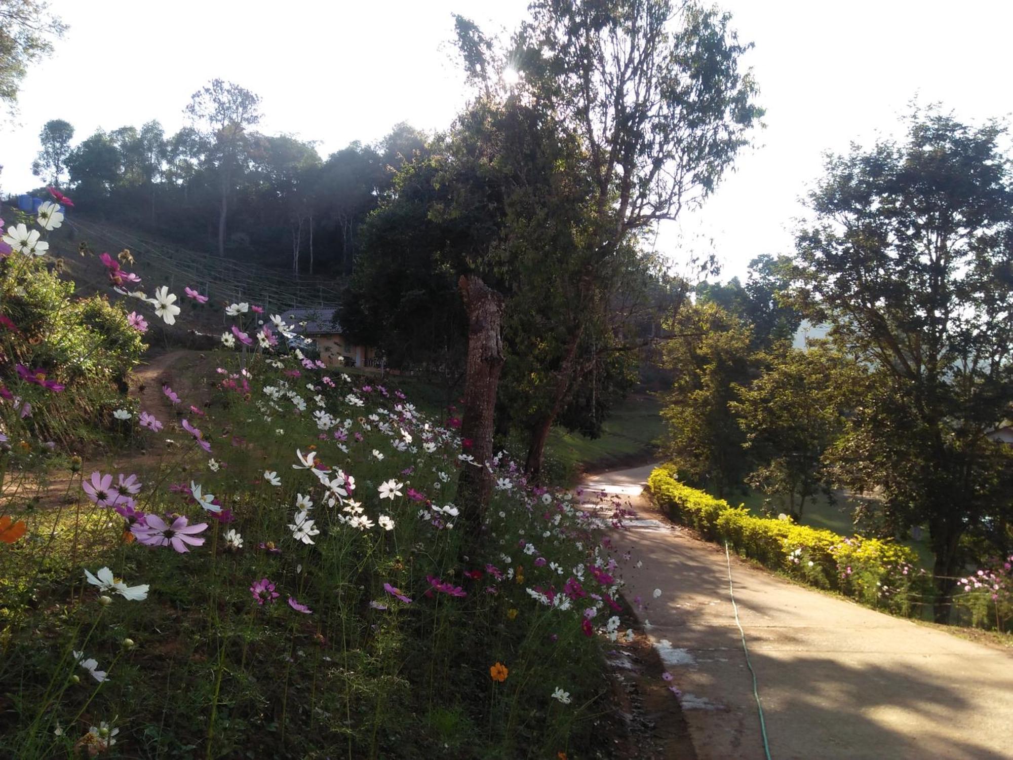 Mong Homestay Resort Pang Ung Екстериор снимка